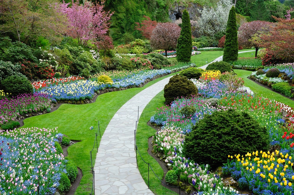 Landscaping Software – A Helpful Landscape Application For Property Proprietors