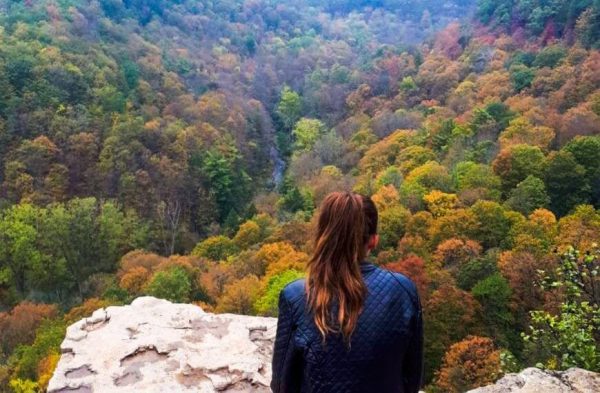 Volunteer Abroad: Meaningful Gap Year Programs That Make a Difference