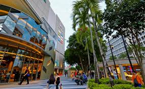 Seamless Connectivity: Transportation Options Near Pinery Residences